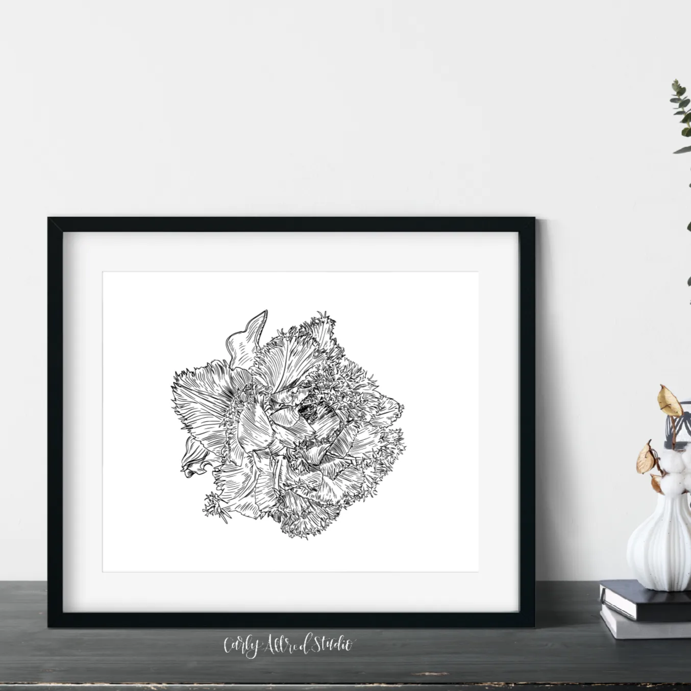 Fringed Tulip Flower Archival Print