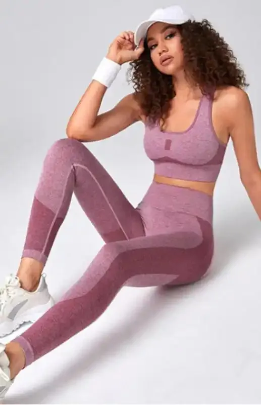Women’s Seamless Mesh Quick Dry Bra Yoga Set