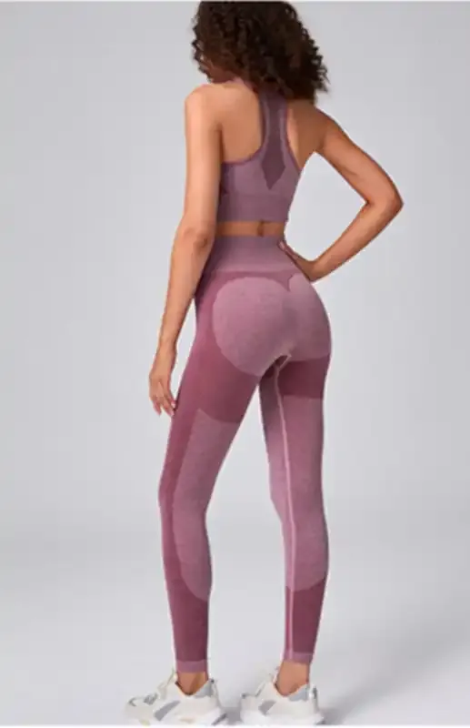 Women’s Seamless Mesh Quick Dry Bra Yoga Set